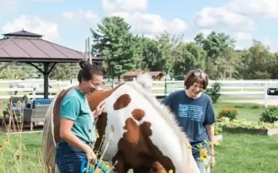 Alzheimer’s & Healthy Aging