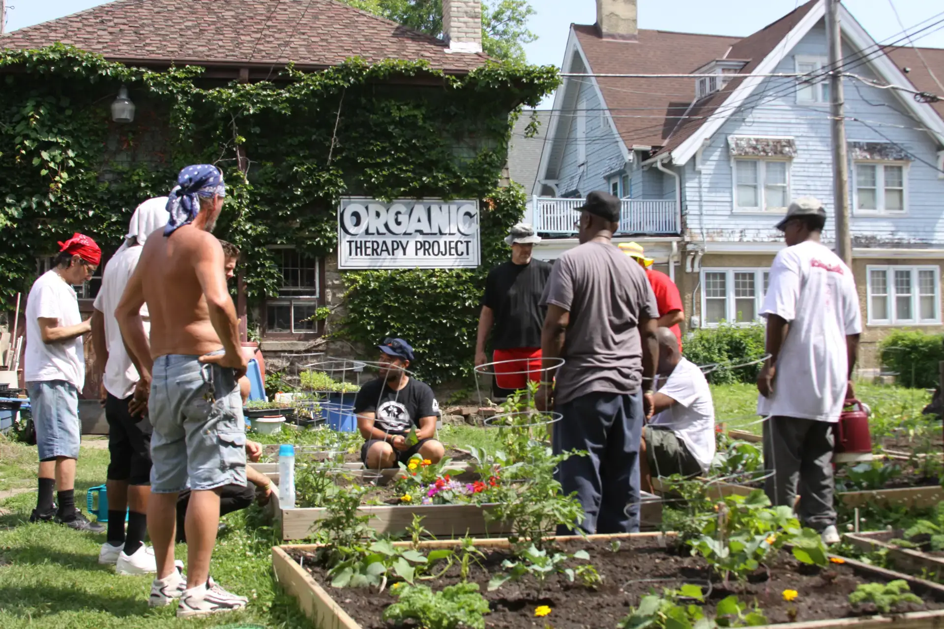 Veterans participate in the Organic Therapy Project garden, an outdoor wellness initiative by Center for Veterans Issues.