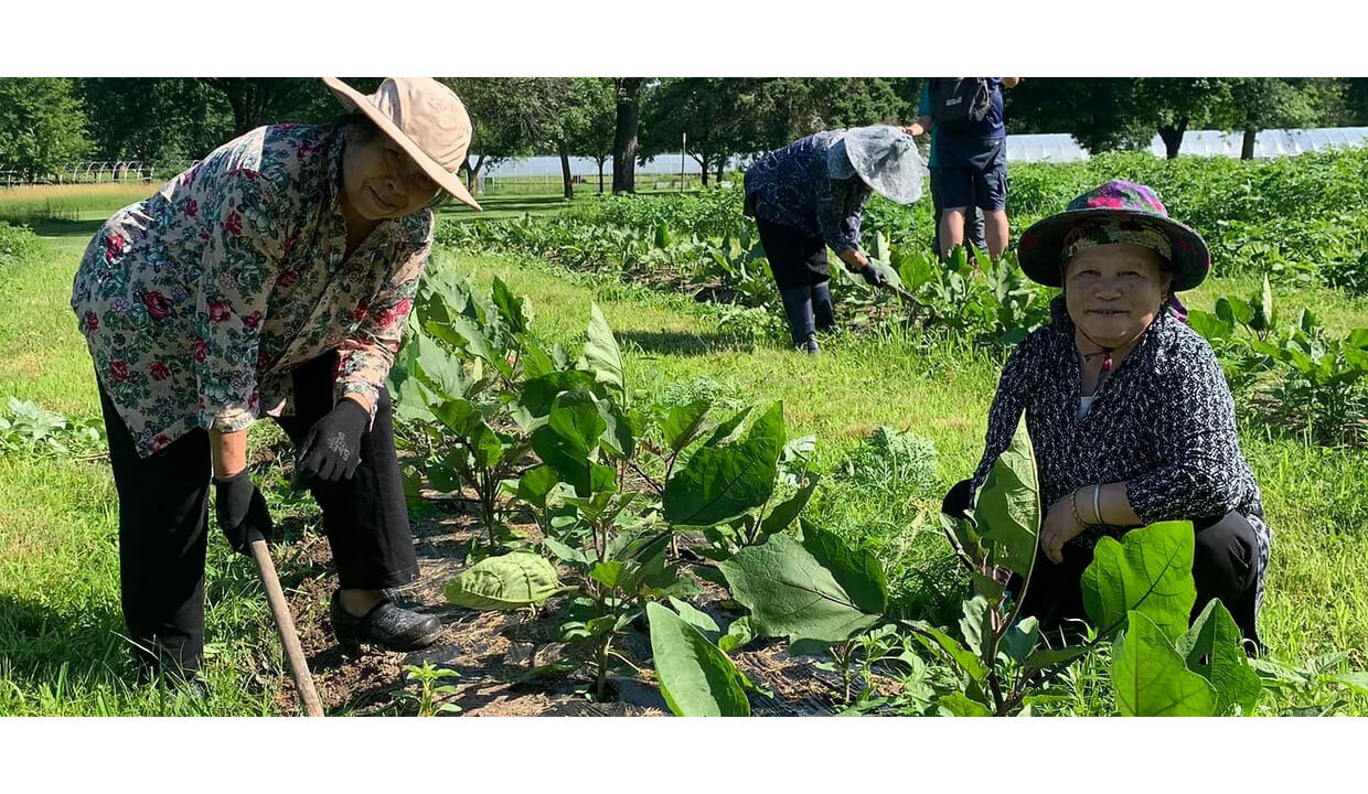 Two women gardeners tend rows of lush green vegetable crops in a sunny field, with others in the background.