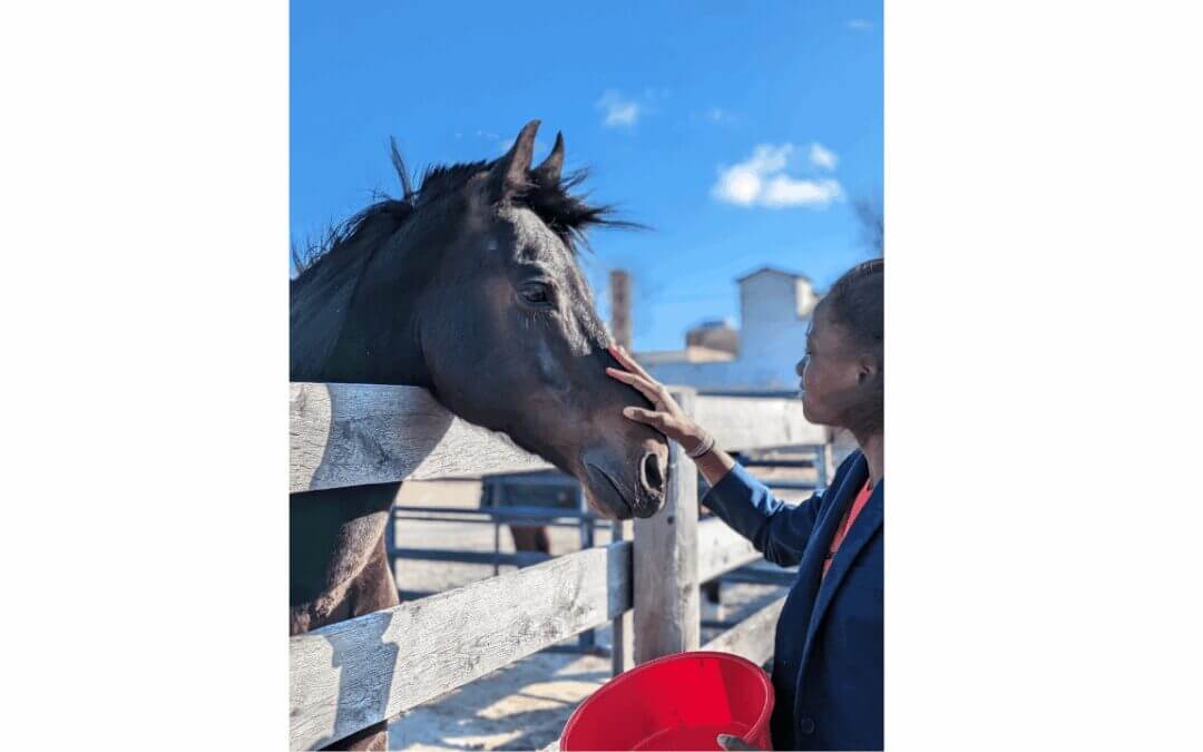 Youth Development Spotlight: MKE Urban Stables