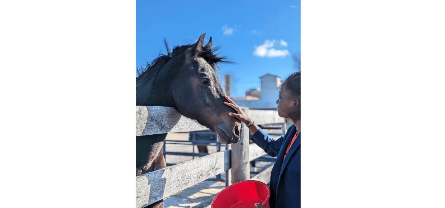 African American woman gently pets a dark bay horse's muzzle over a stable fence, showing human-equine connection.