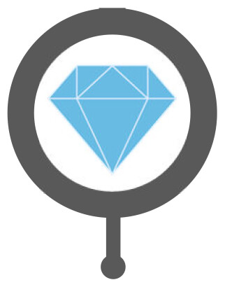 BLI Leadership icon featuring a magnifying glass focused on a blue diamond, symbolizing value, quality, and excellence.