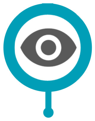 BLI leadership icon: Gray eye in a teal circle, symbolizing strategic vision, foresight, and future goals.
